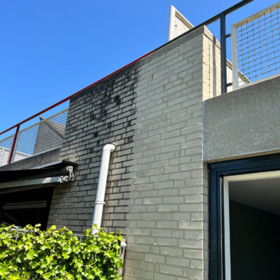 voegen reinigen gevel